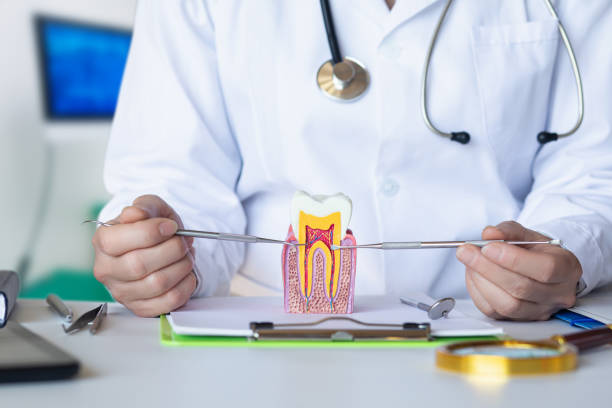 Best Broken or Chipped Tooth Repair in Kingston, NY